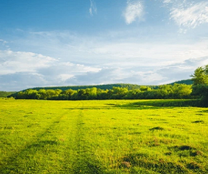 Lands For Sale