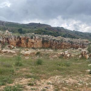 25010 - Land for sale in azounieh Near Sawfar                           ارض  للبيع في العزونية قرب صوفر